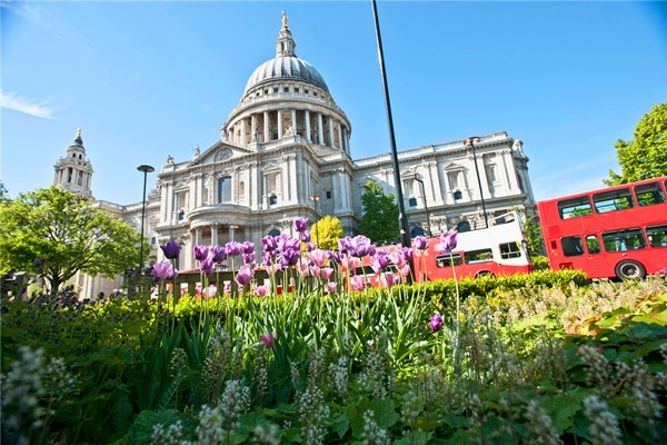 São Paulo Cathedral