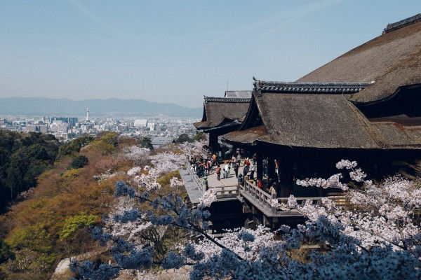 掛け軸【春景清水寺】鈴木百年 968 京都 桜 | axentit.com.mx