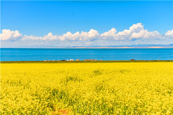 大美青海湖 茶卡盐湖 祁连大草原 油菜花海行程天数:7天目的地:西宁