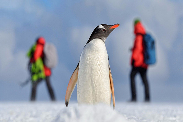 [Antarctic Nansen/Amundsen] Brazil Carnival + Antarctic Peninsula + Argentina + Chile + Peru 35-day classic Antarctic Tour