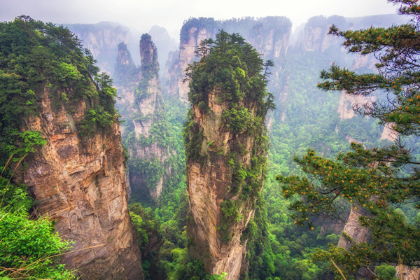 10-Day China Entry Tour: Guangzhou, Shenzhen, and Zhangjiajie  
Highlights: Canton Tower, Chen Clan Ancestral Hall, Pearl River Night Cruise, high-speed rail experience, Sea World, sightseeing at Ping An Finance Center, drone food-delivery demonstration, visit to a robot 6S dealership, Zhangjiajie National Forest Park, Zhangjiajie Grand Canyon, Tianmen Mountain National Park, and DIY Guangcai (Guangzhou enamel) painting.