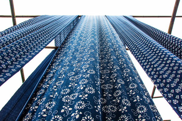 Experience blue calico