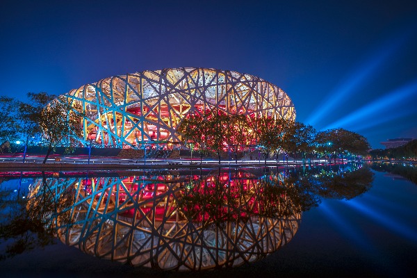 The Bird Nest