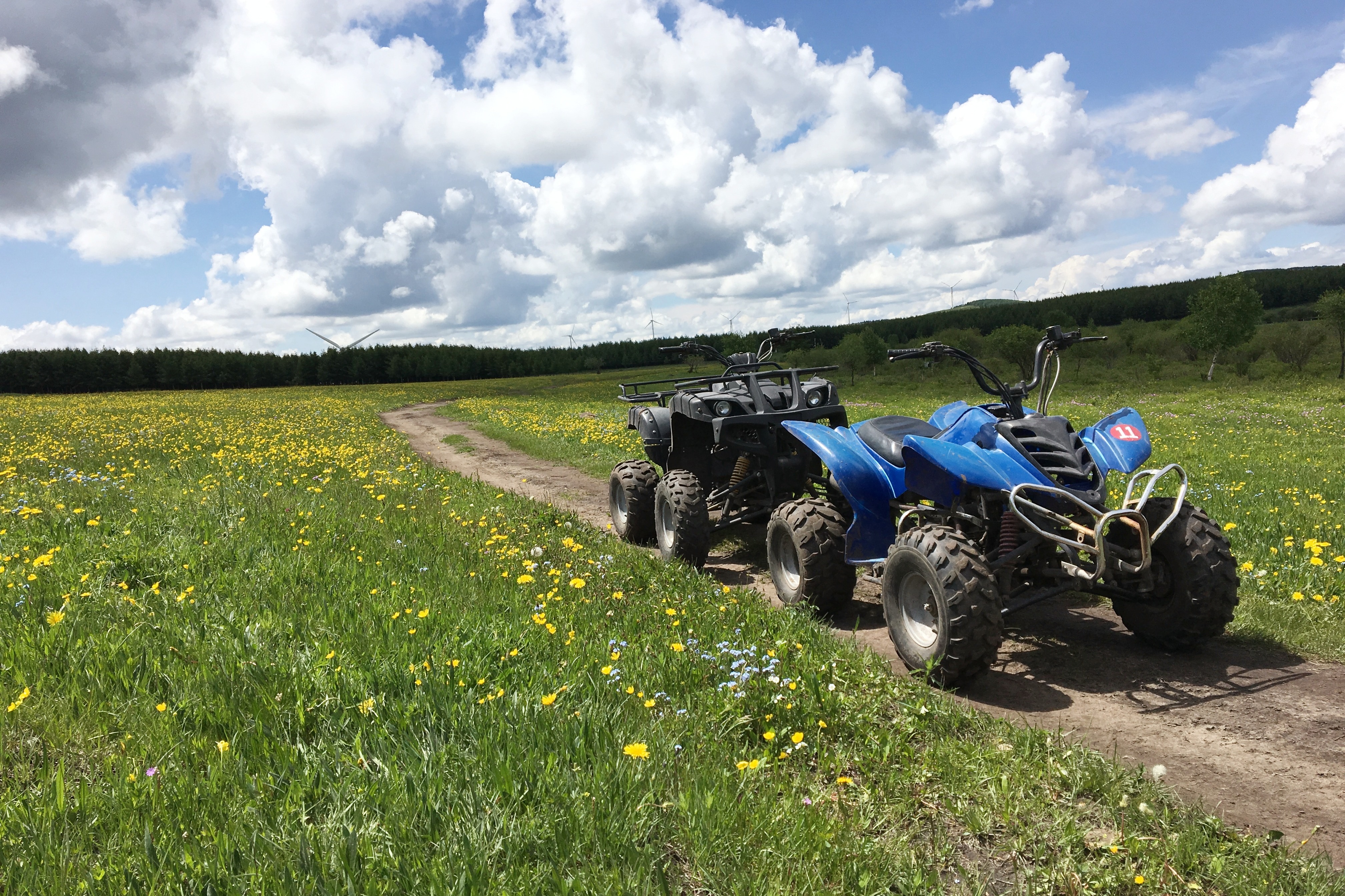 Pony all-terrain vehicle